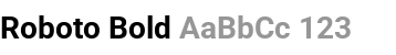 Roboto Bold